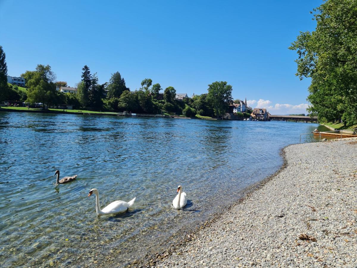 Ferienwohnung Rheinblick In Buesingen -Keine Monteure- Busingen Kültér fotó