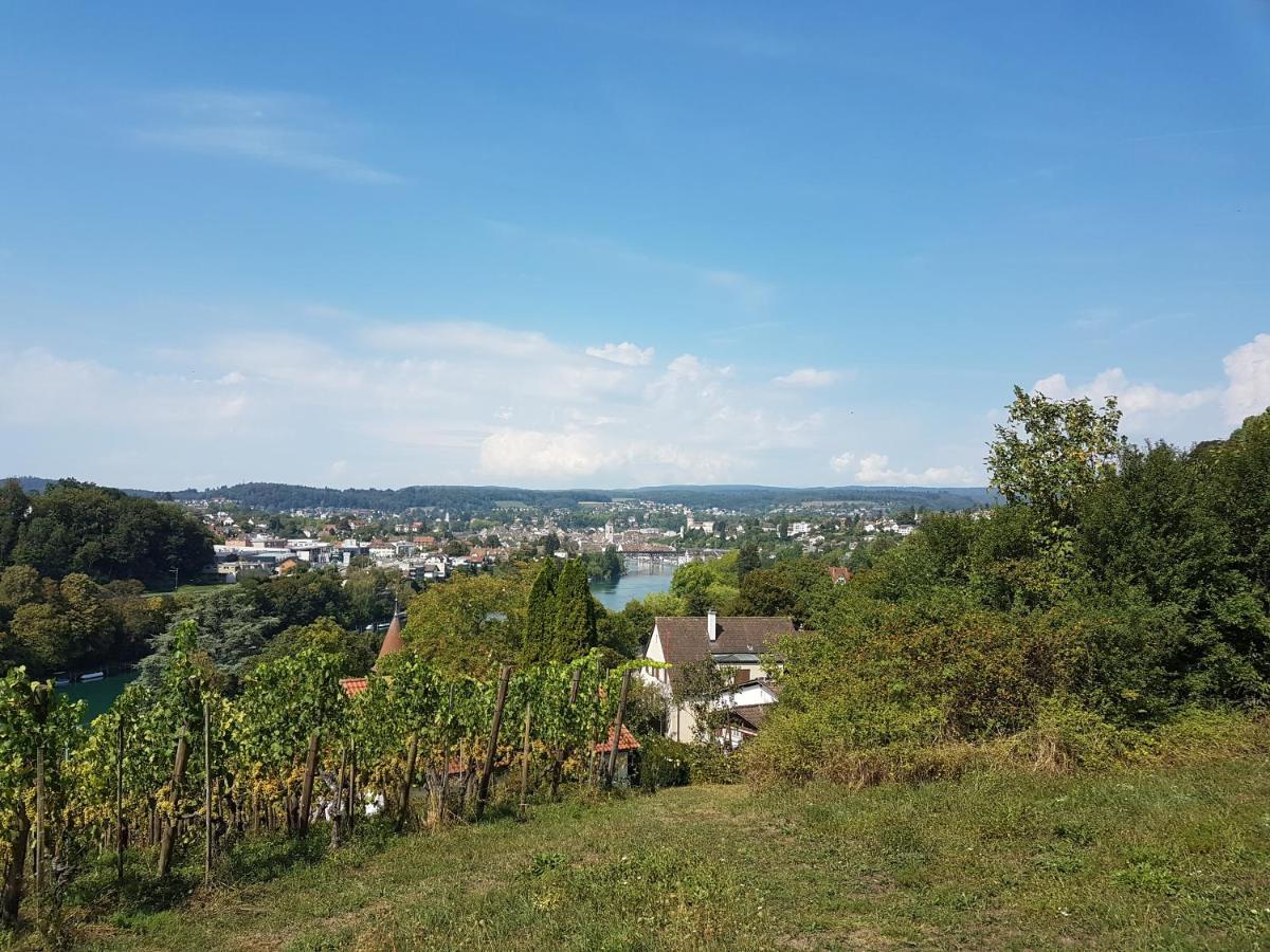 Ferienwohnung Rheinblick In Buesingen -Keine Monteure- Busingen Kültér fotó