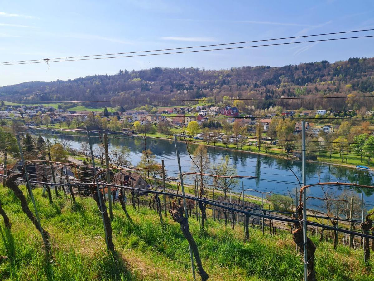 Ferienwohnung Rheinblick In Buesingen -Keine Monteure- Busingen Kültér fotó