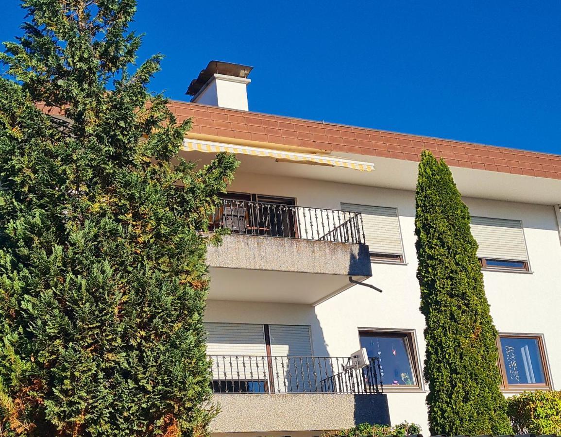 Ferienwohnung Rheinblick In Buesingen -Keine Monteure- Busingen Kültér fotó